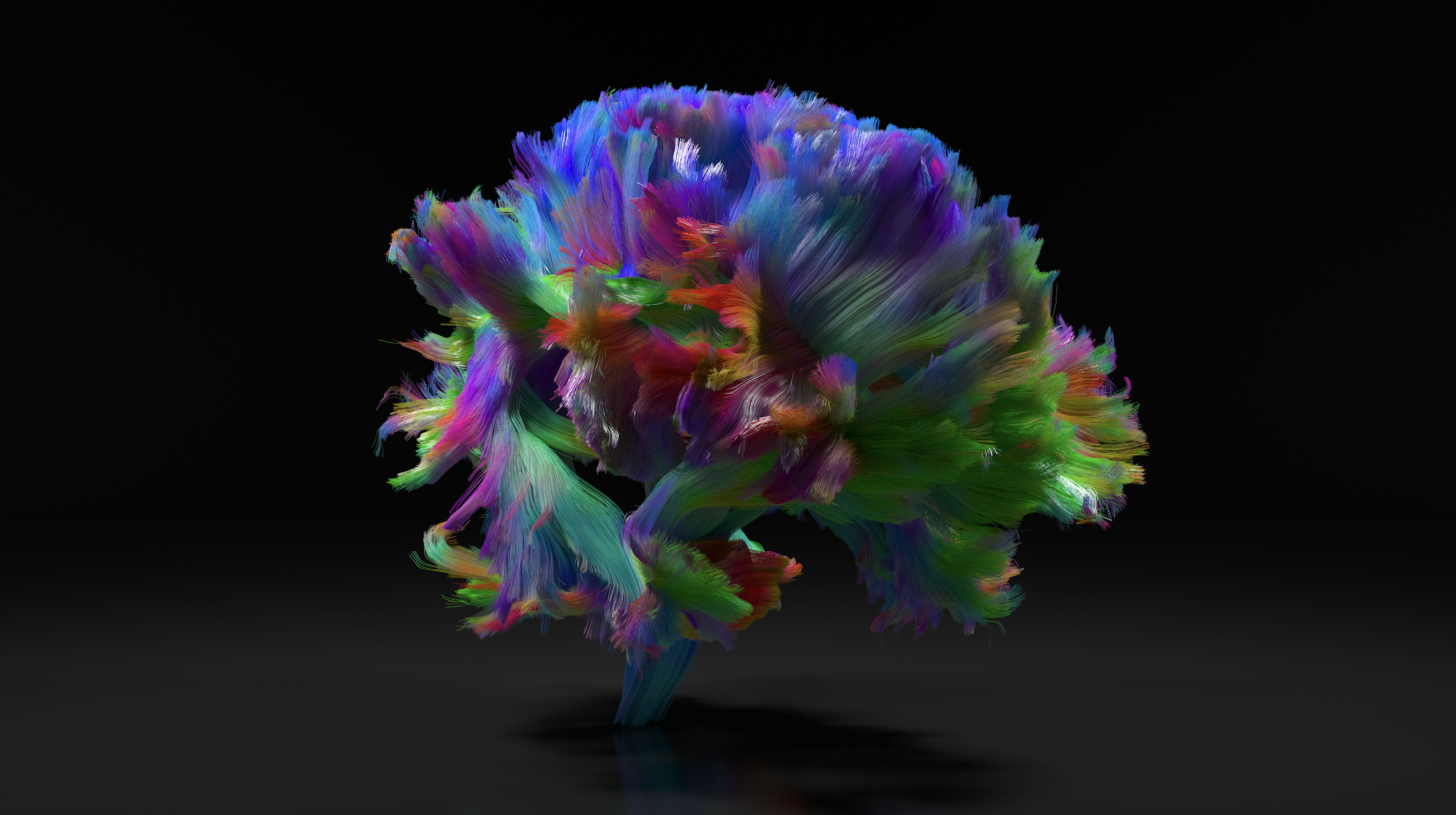 Art Collaborations — Kuhn Cognitive